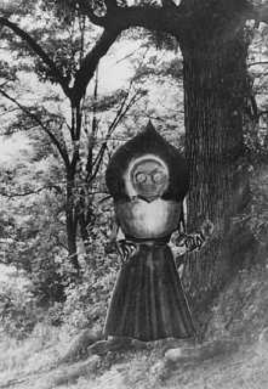 Flatwoods Monster Illustration