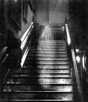Brown Lady of Raynham Hall